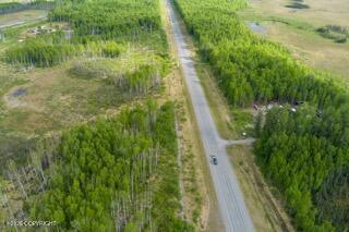 57215 S Parks Highway Property Photo 31