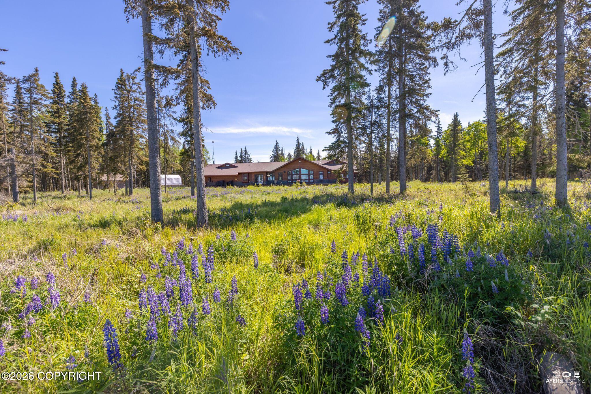 30767 Kalifornsky Beach Road Property Photo 44