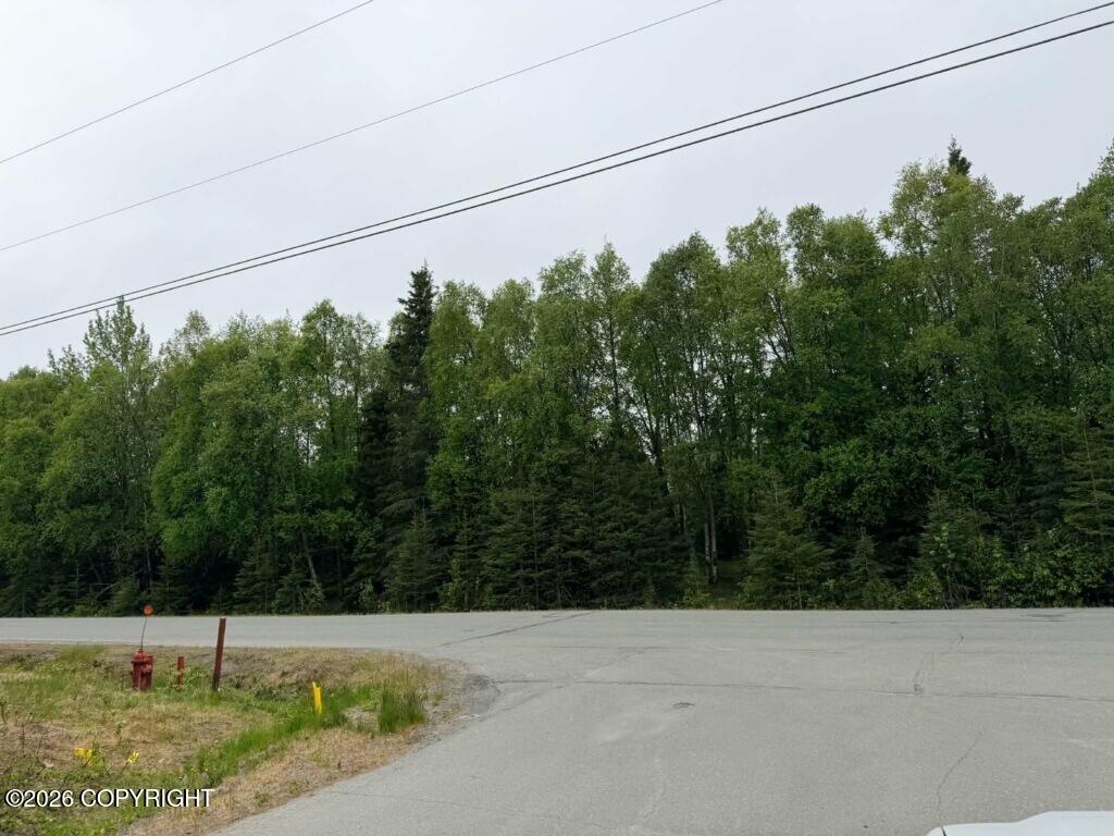 213 Evergreen Street Property Photo 2