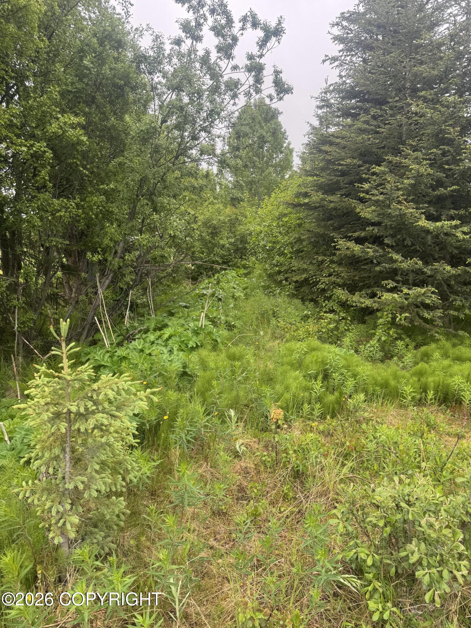 65131 Nikolaevsk Road Property Photo 15