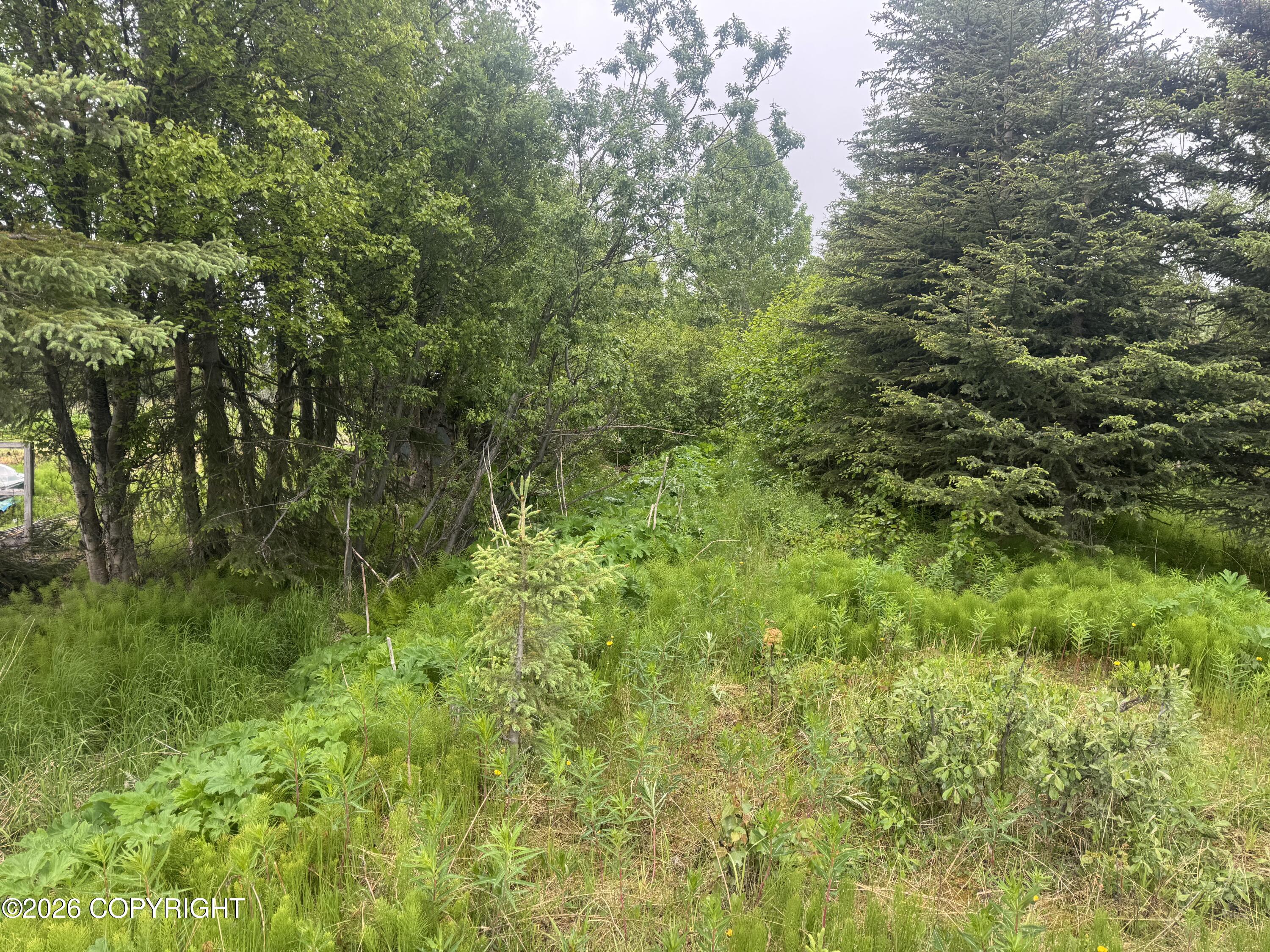 65131 Nikolaevsk Road Property Photo 16