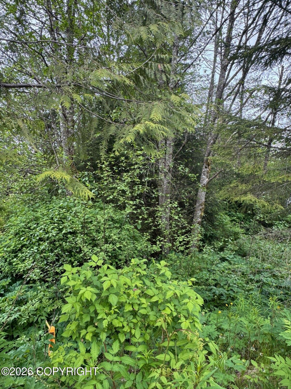 805 Lake Street Property Photo 4