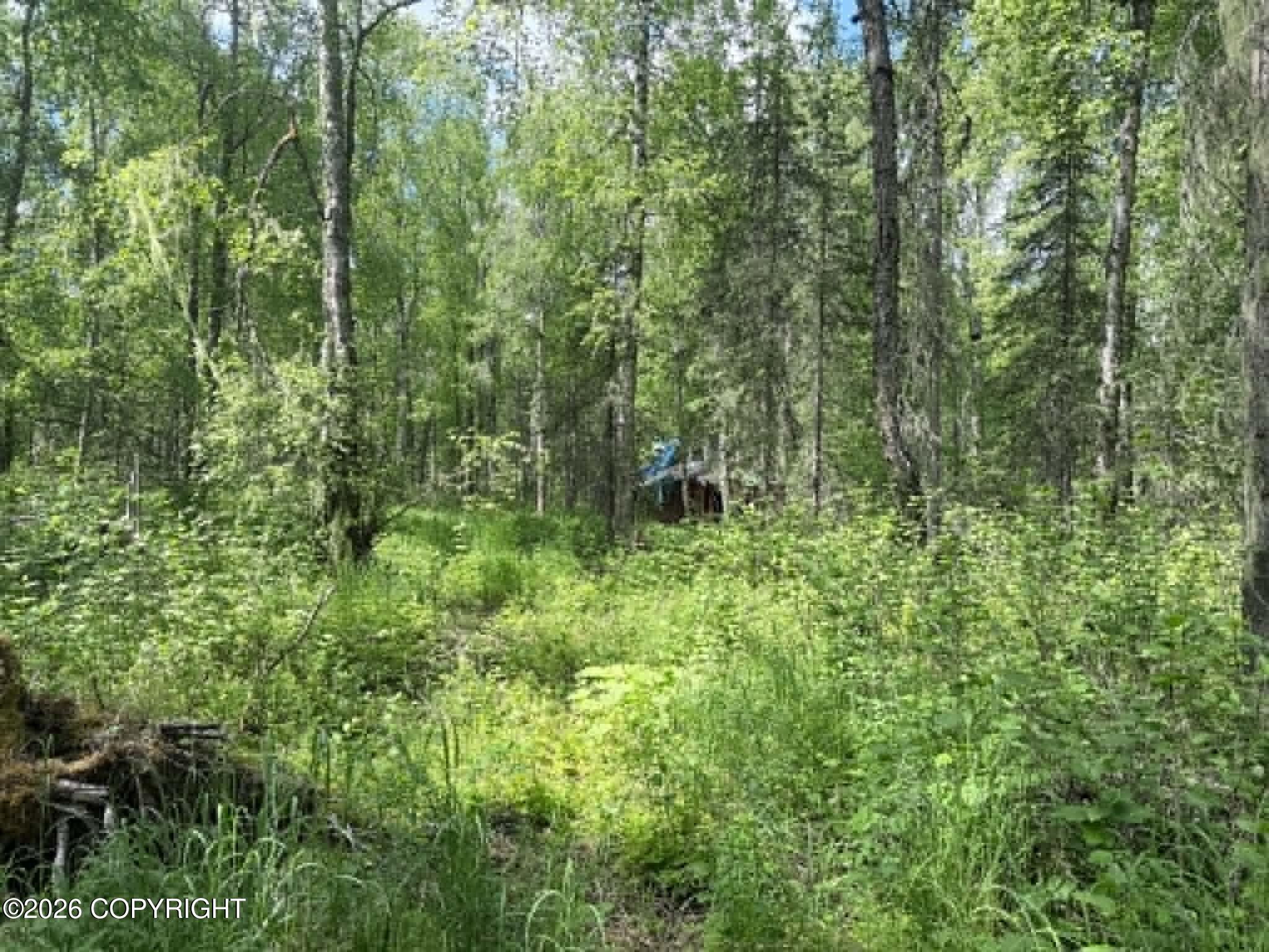 25476 S Wolf Track Road Property Photo 4