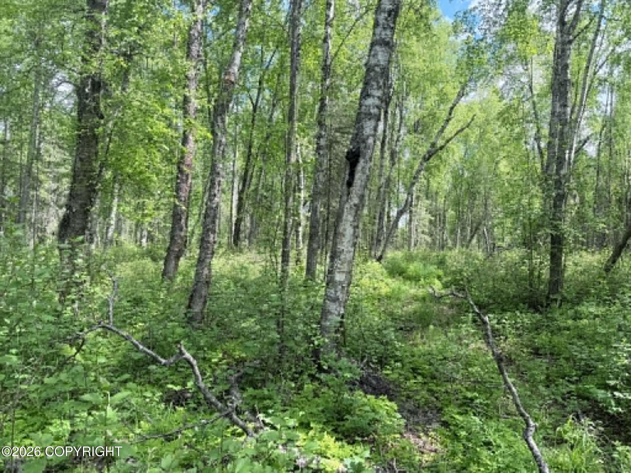 25476 S Wolf Track Road Property Photo 15