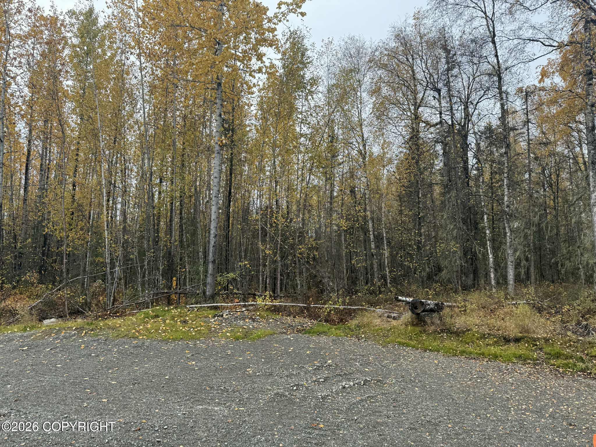 25476 S Wolf Track Road Property Photo 20
