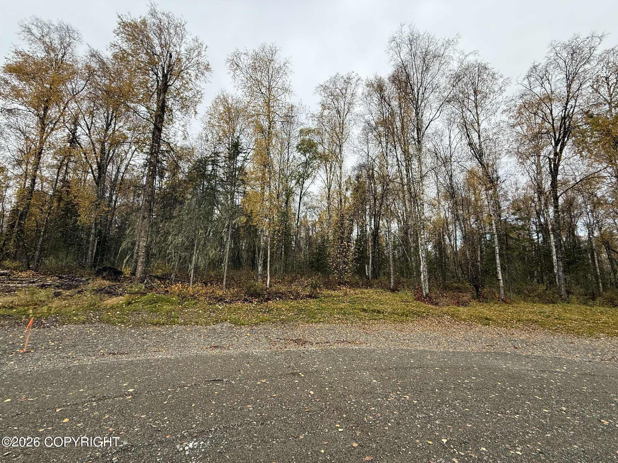25476 S Wolf Track Road Property Photo 21