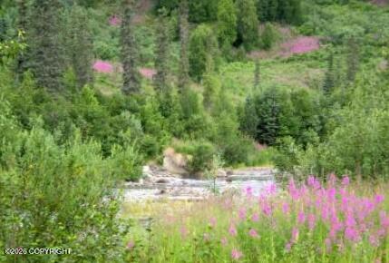5598 S Lucky Creek Circle Property Photo 14