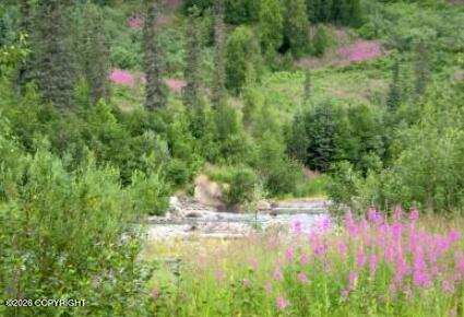 5598 S Lucky Creek Circle Property Photo 17