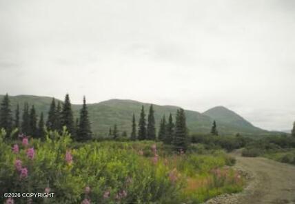 5598 S Lucky Creek Circle Property Photo 23