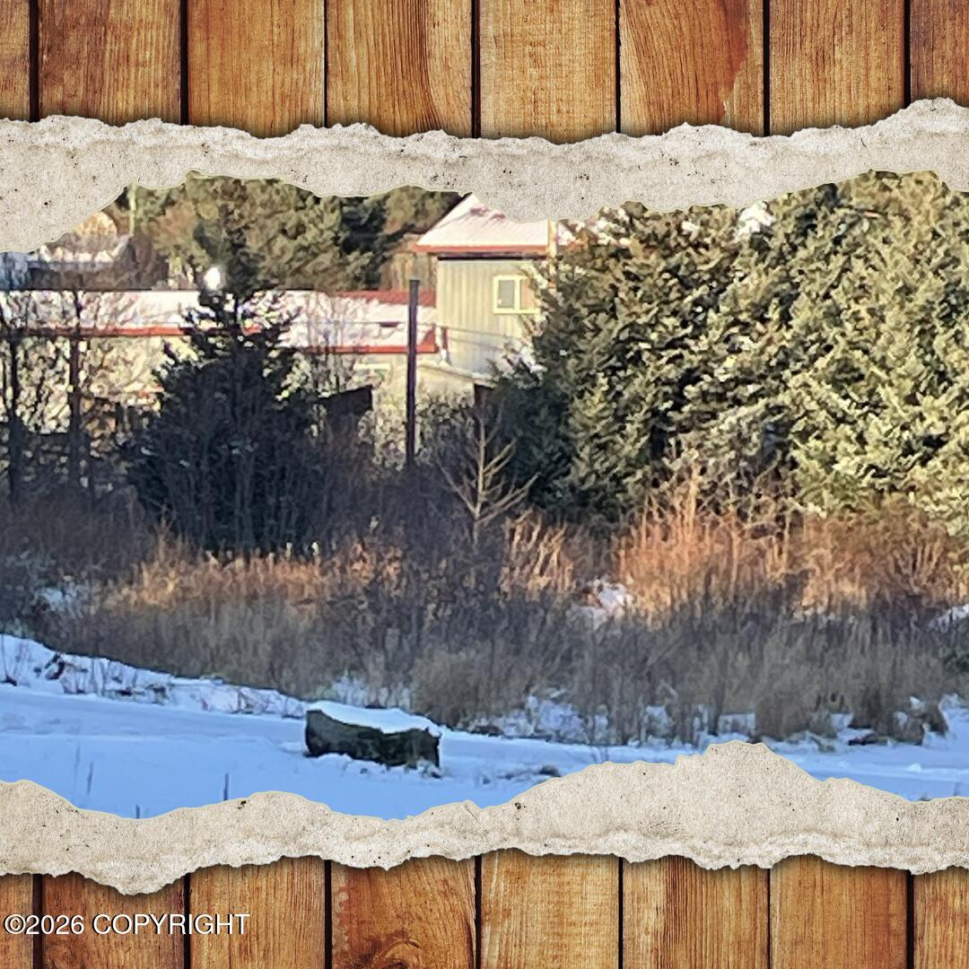 202 Spruce Drive Property Photo 1