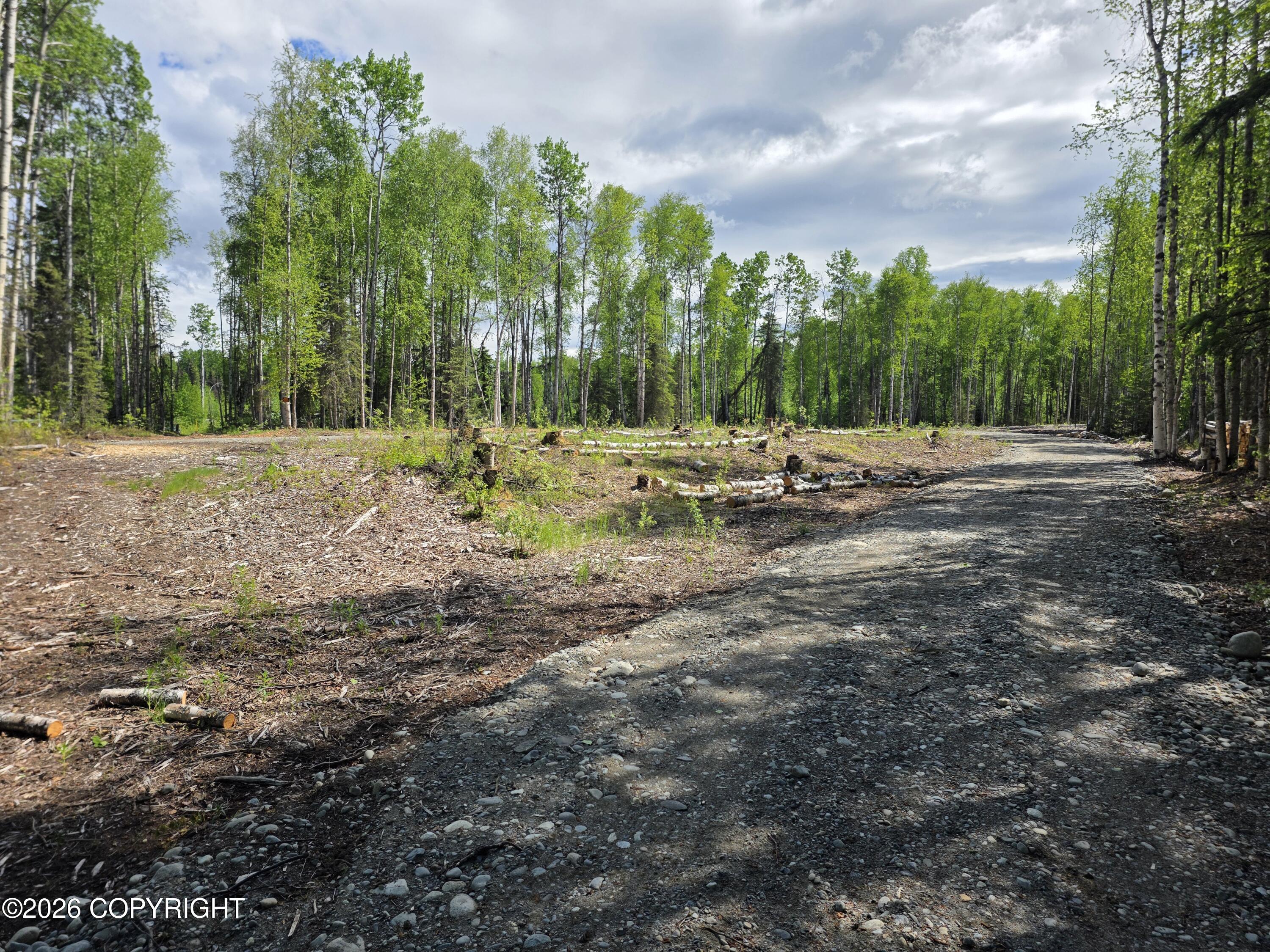 51293 S Caswell Loop Property Photo 4