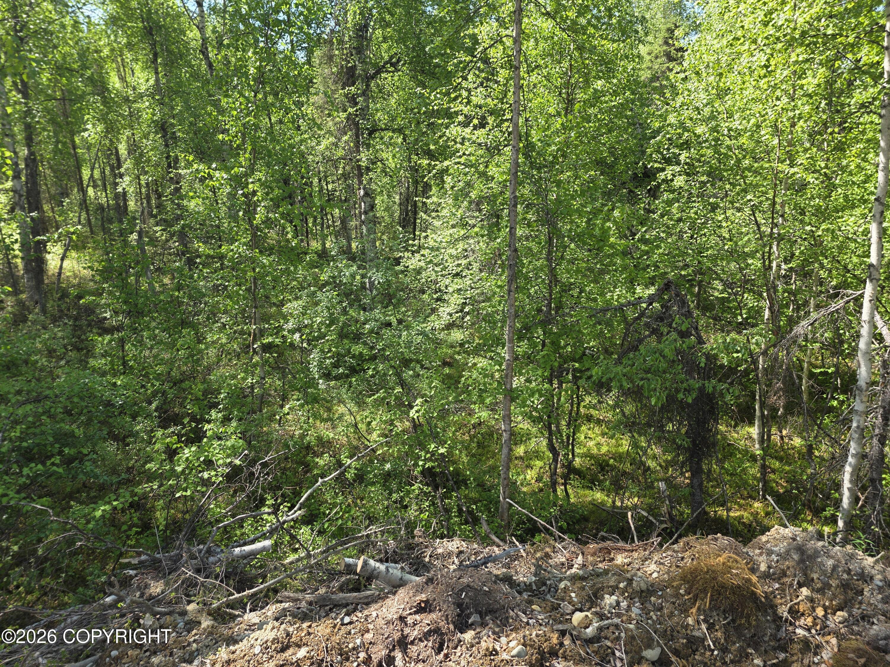 51293 S Caswell Loop Property Photo 18