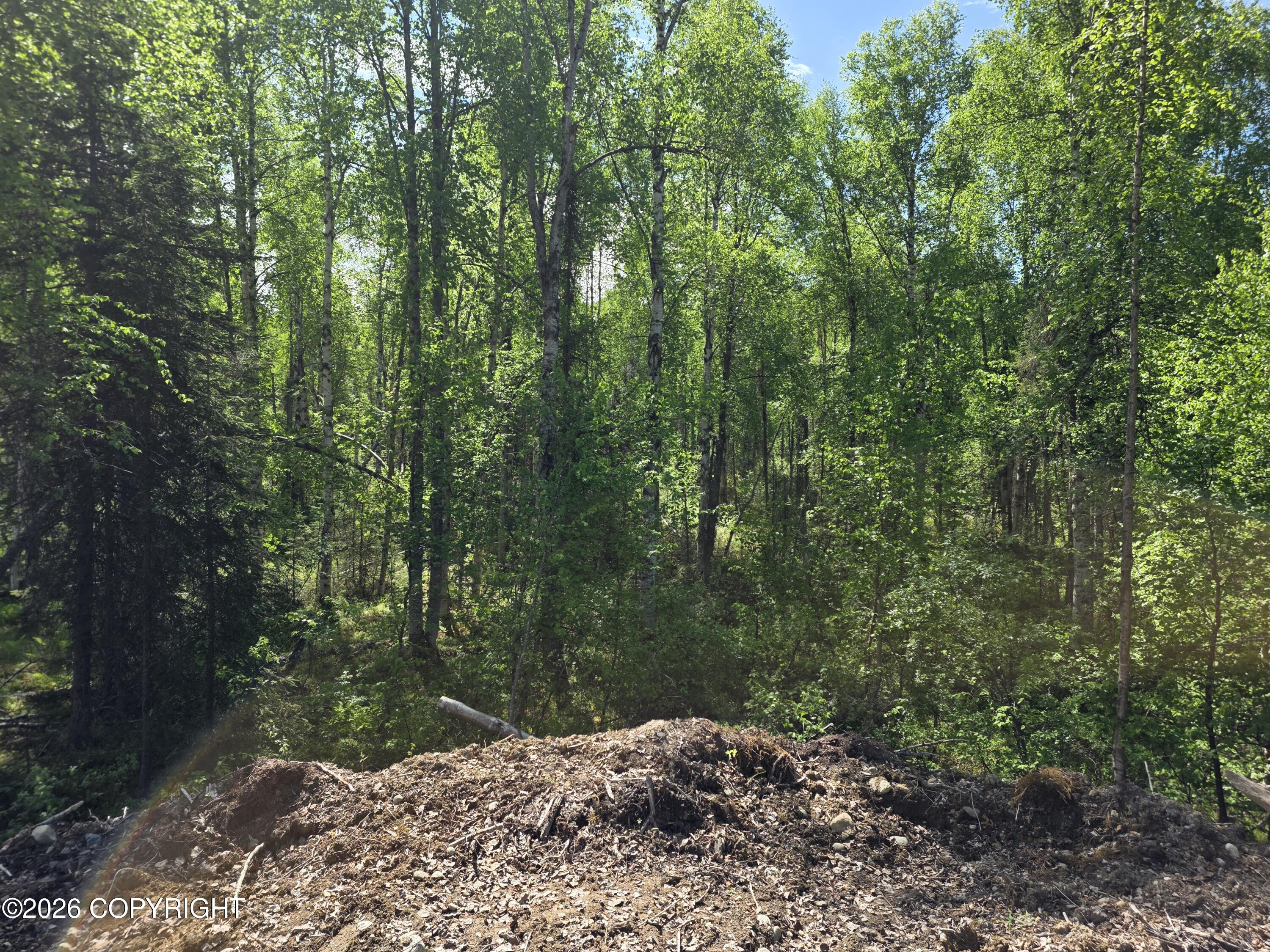 51293 S Caswell Loop Property Photo 19