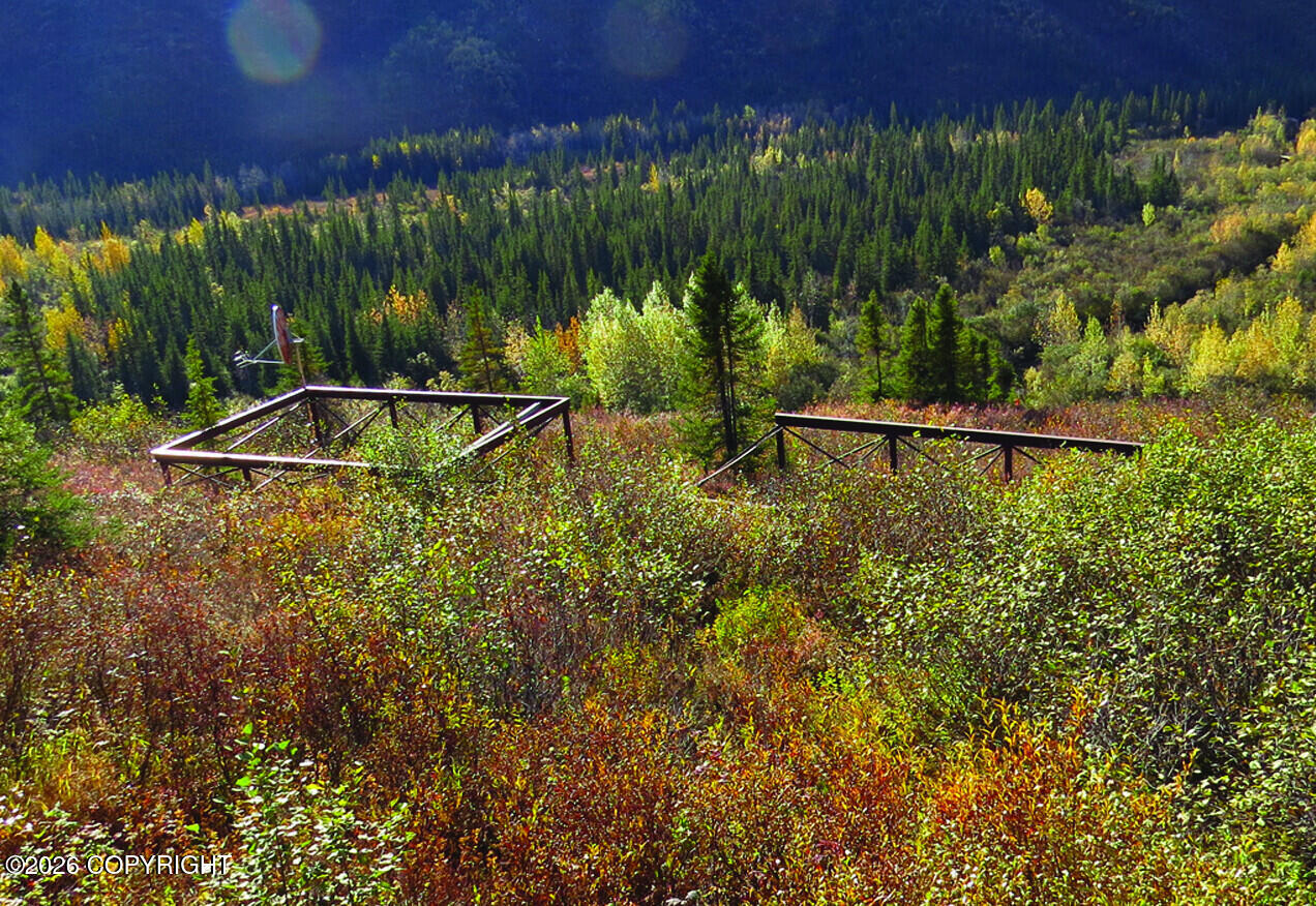 91.5 Denali Park Road Property Photo 14