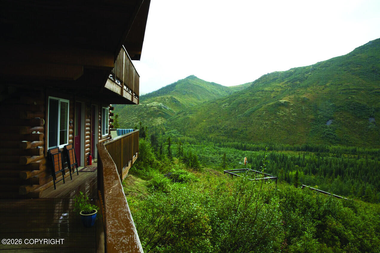 91.5 Denali Park Road Property Photo 16
