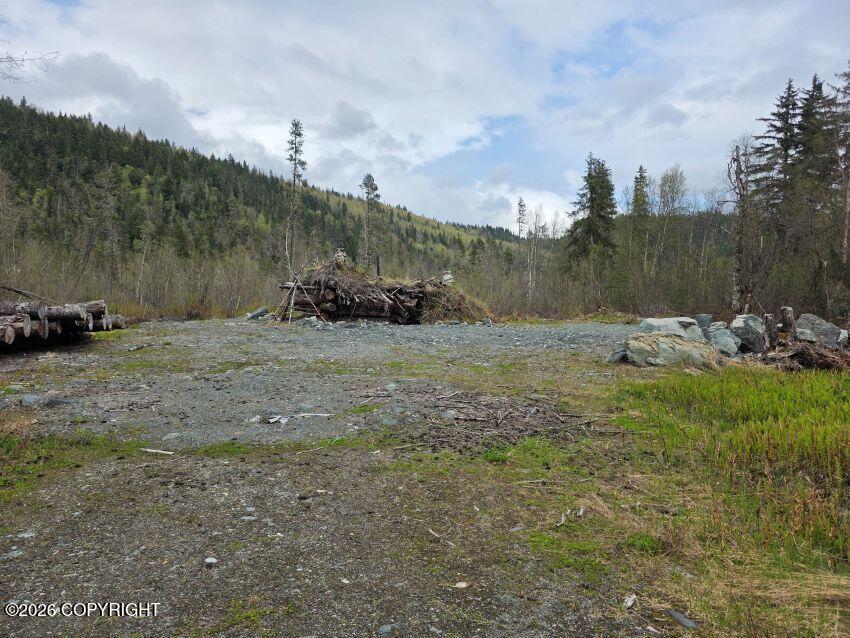 638 Mosquito Lake Road Property Photo 5