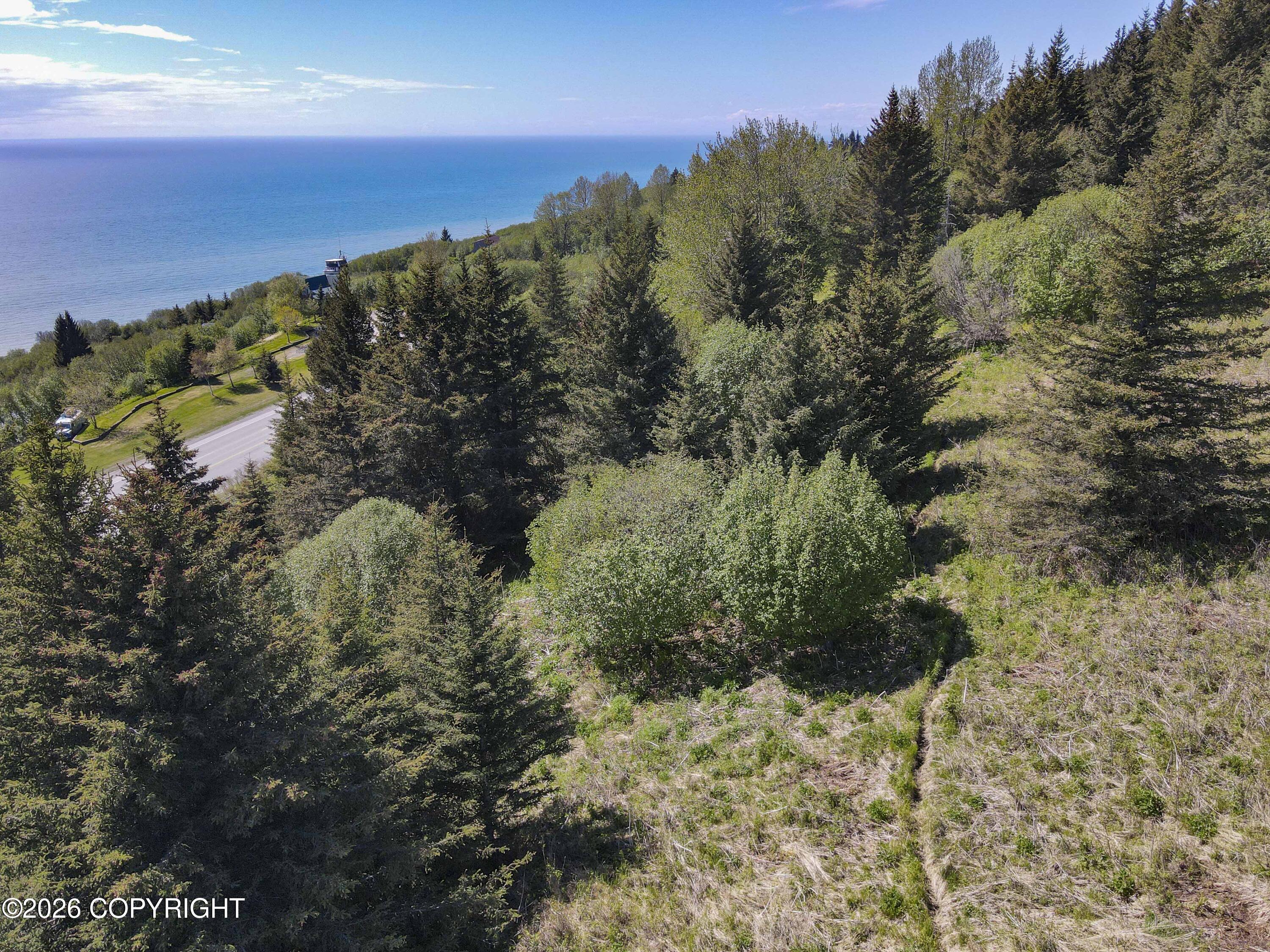 0000 Sterling Highway Property Photo 8