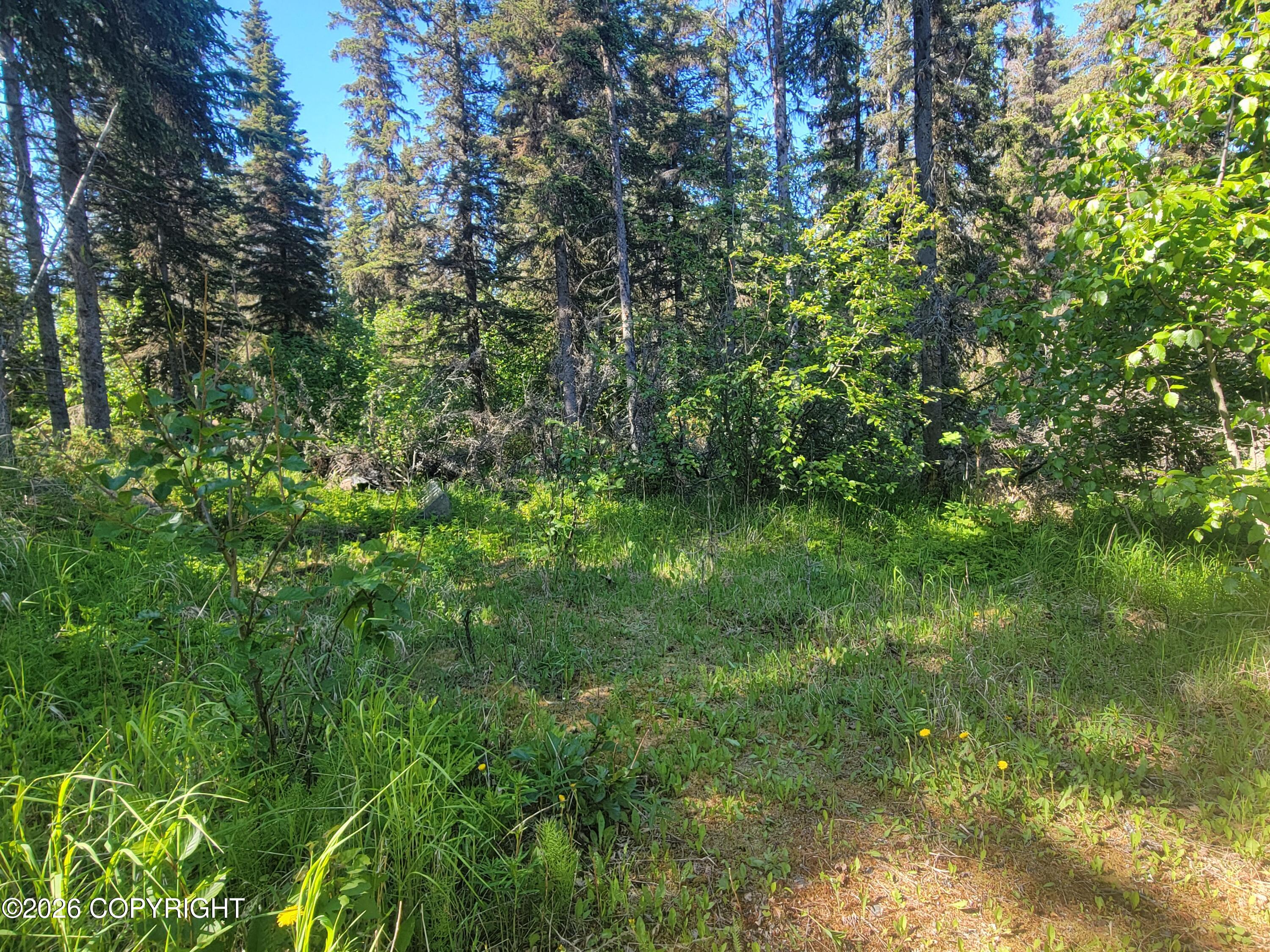 53625 Kimbro Avenue Property Photo 25