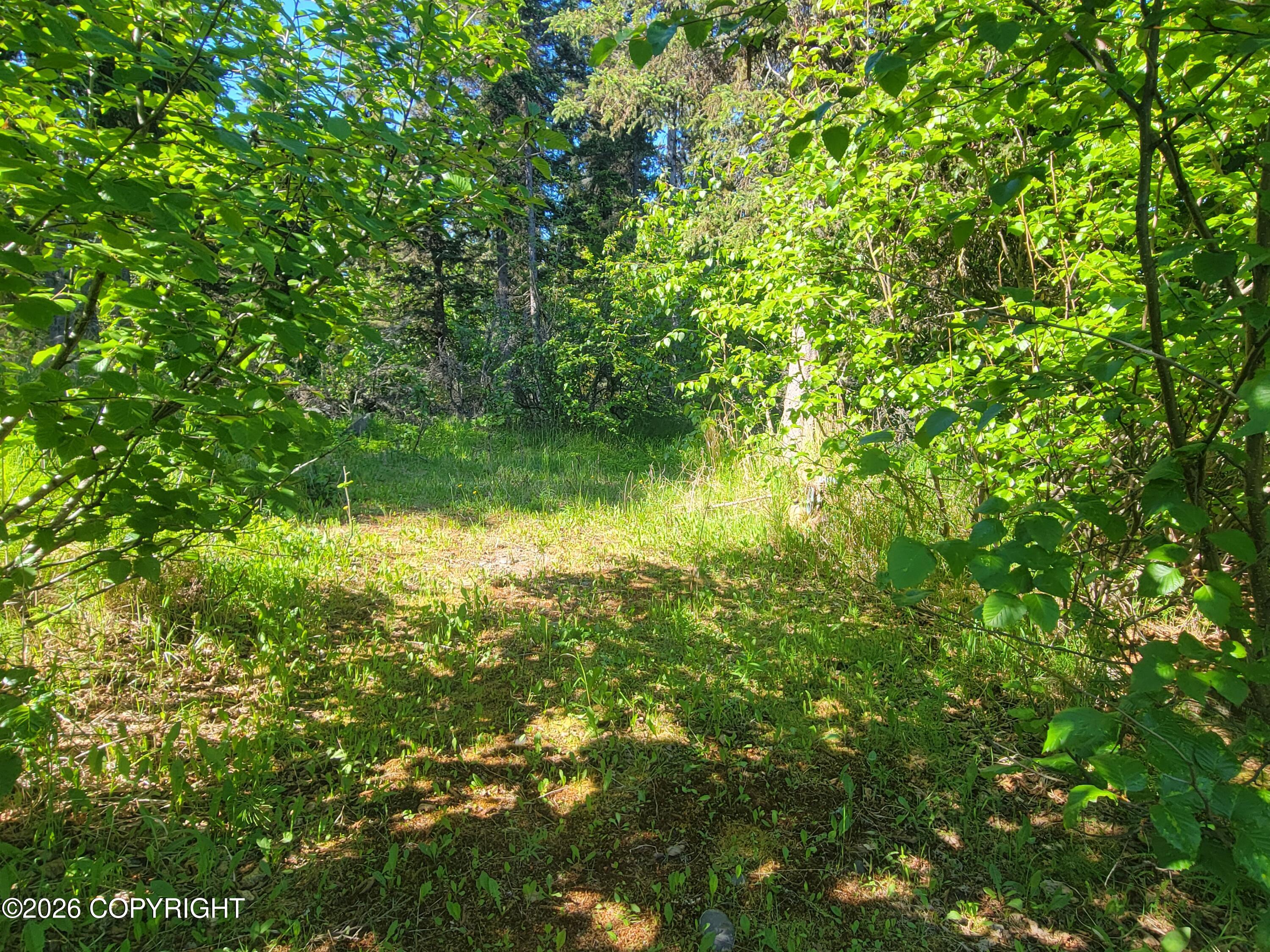 53625 Kimbro Avenue Property Photo 26