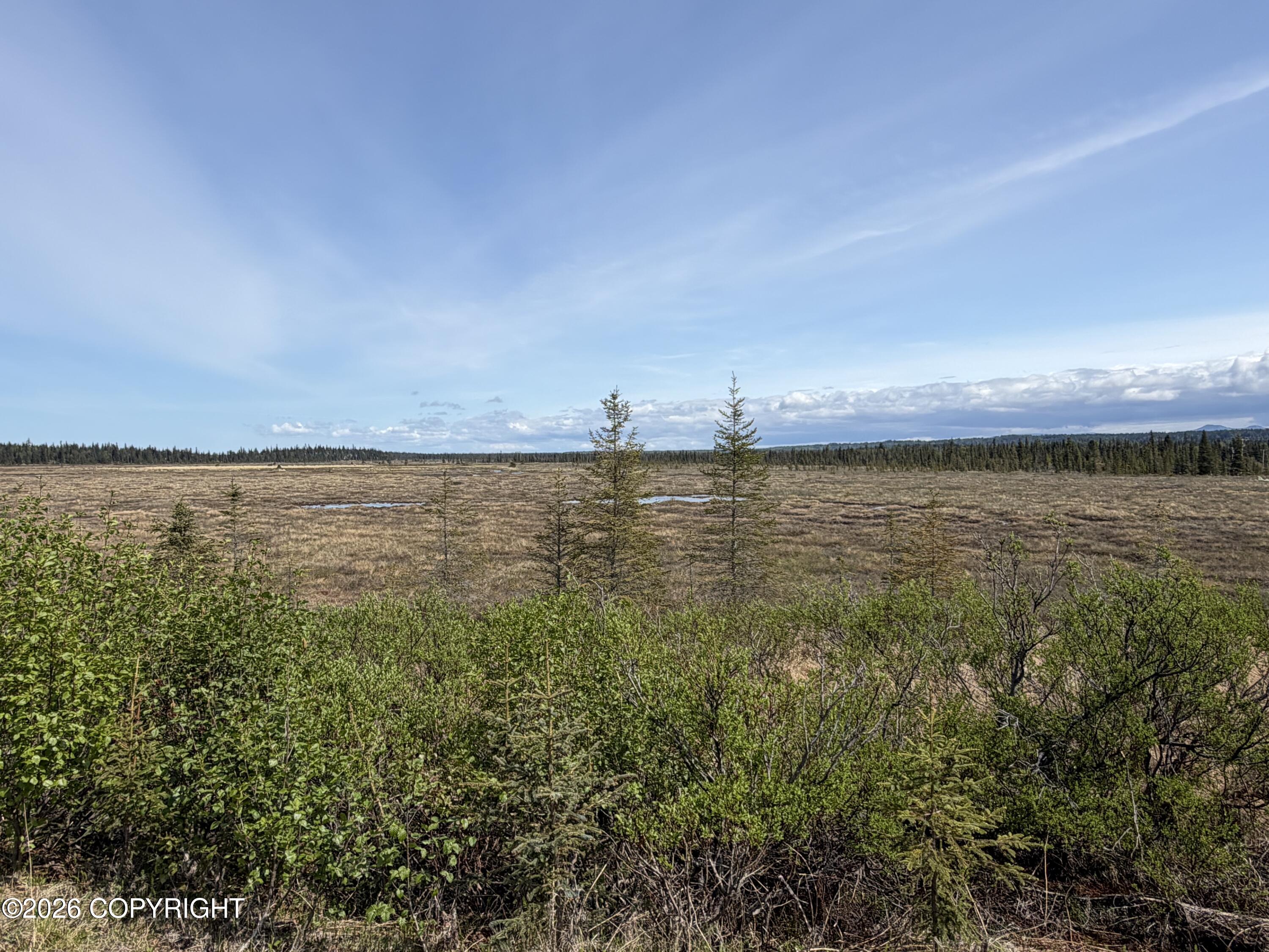 26873 Cloyds Road Property Photo 12