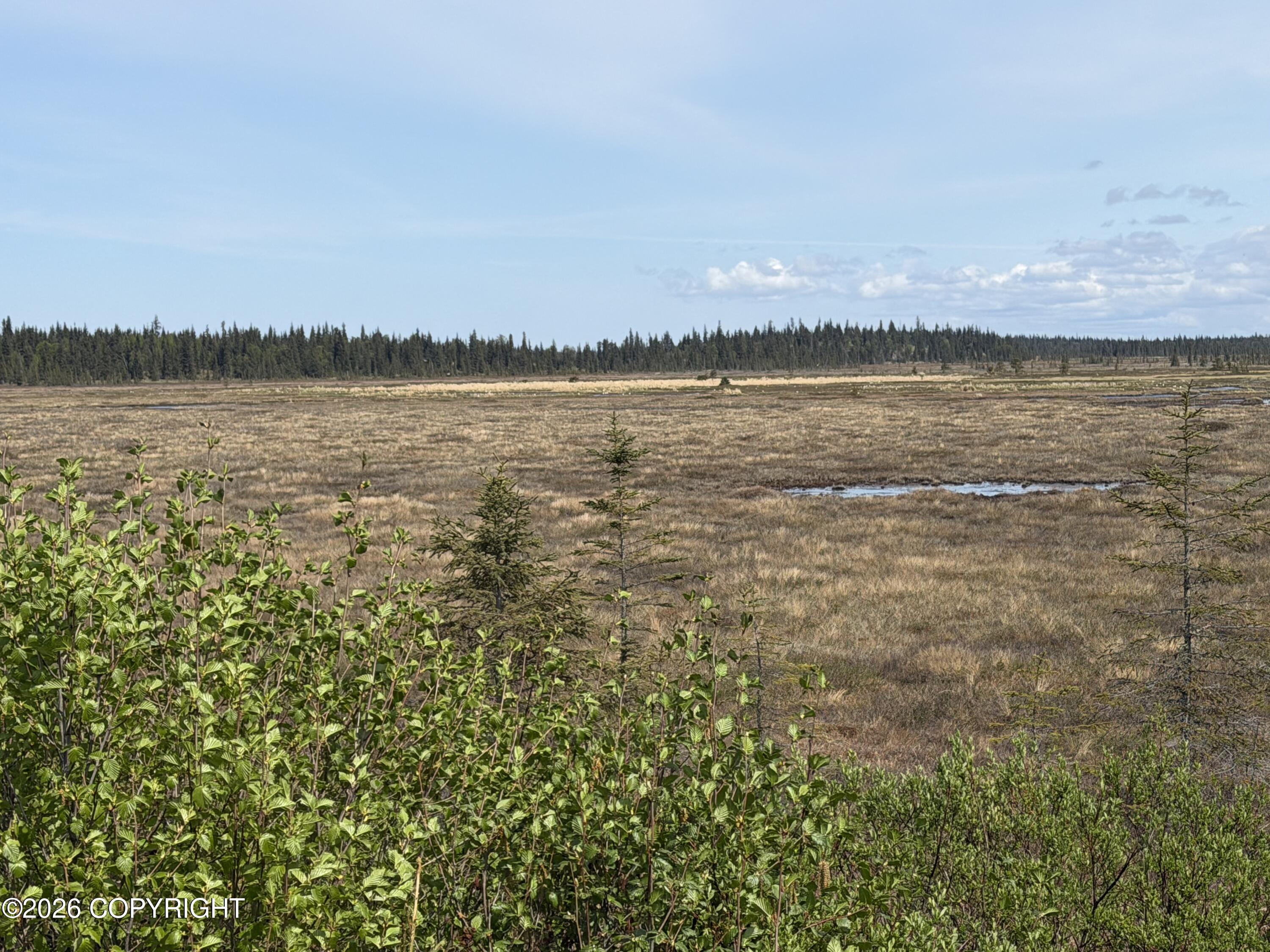 26873 Cloyds Road Property Photo 13