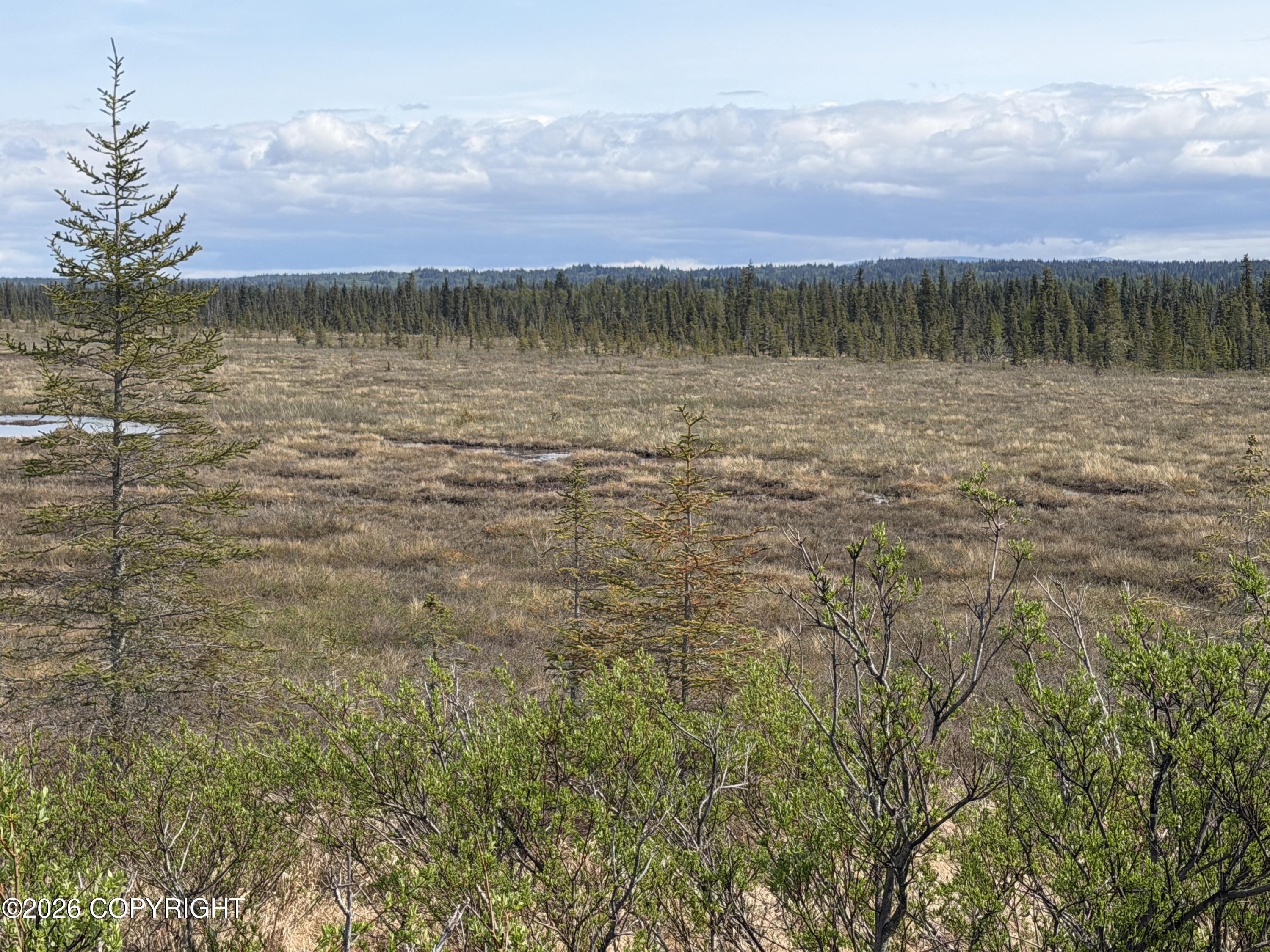 26873 Cloyds Road Property Photo 14