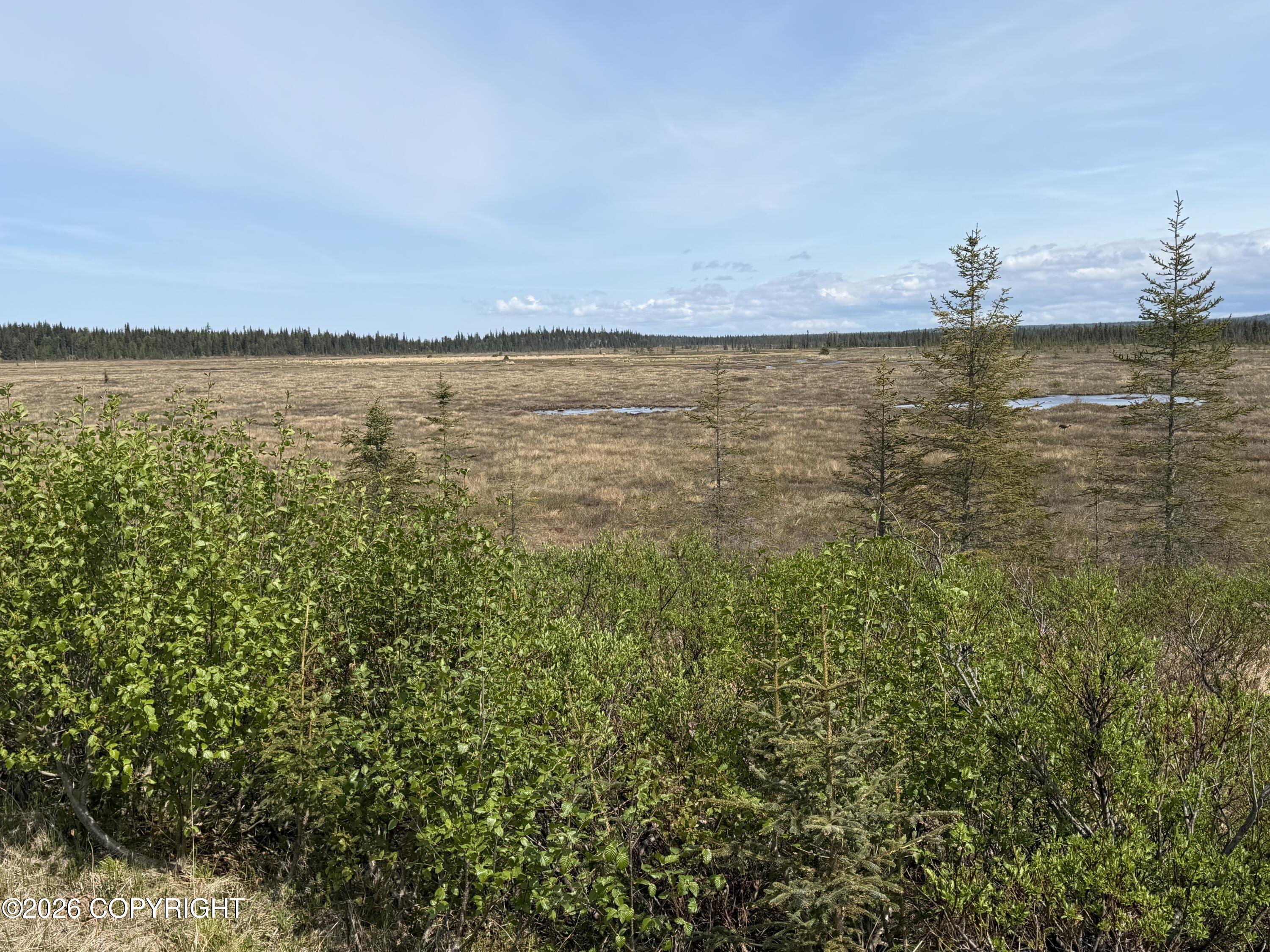 26873 Cloyds Road Property Photo 15