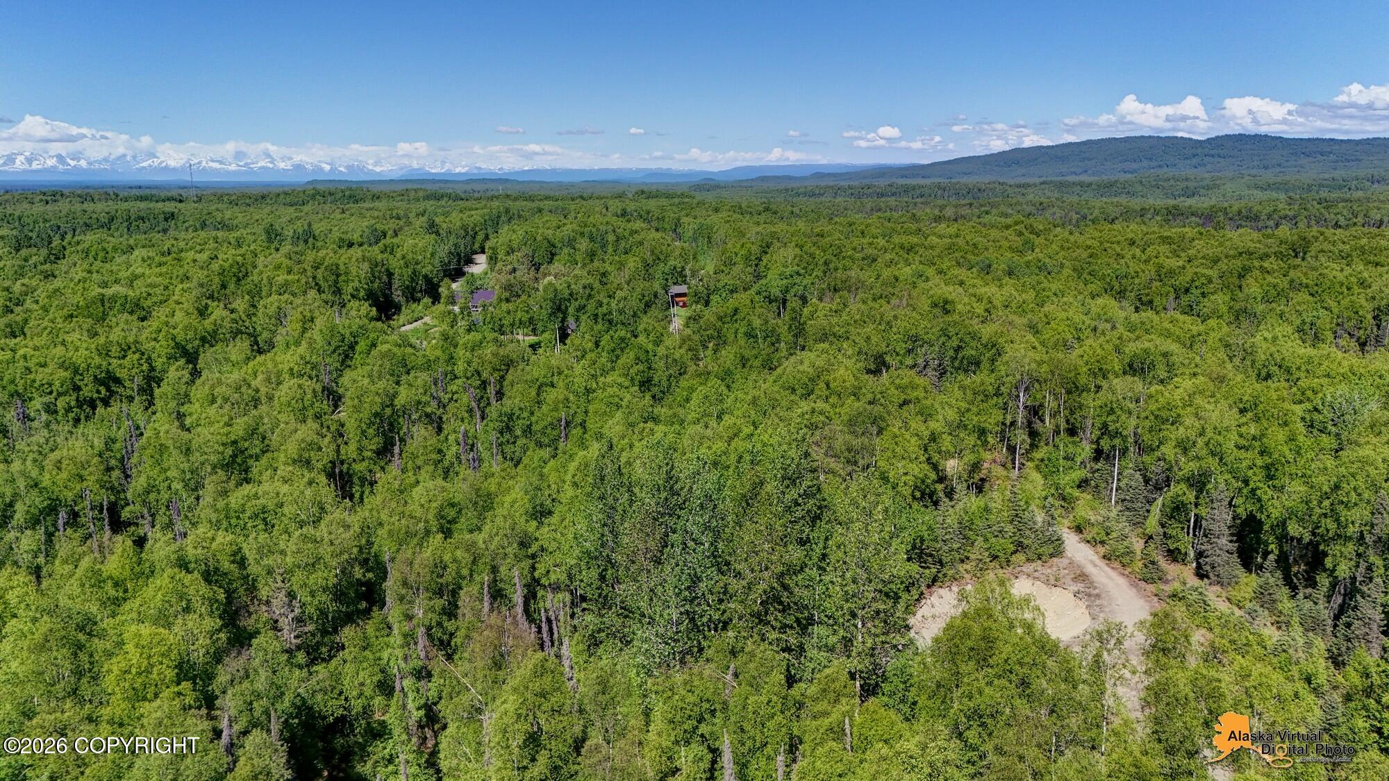 15528 E Birch Creek Boulevard Property Photo 92