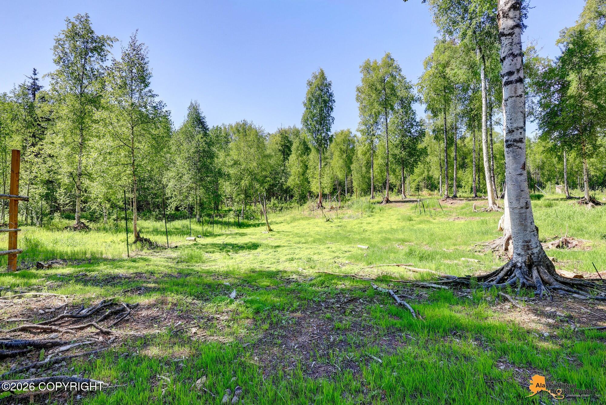 15528 E Birch Creek Boulevard Property Photo 96