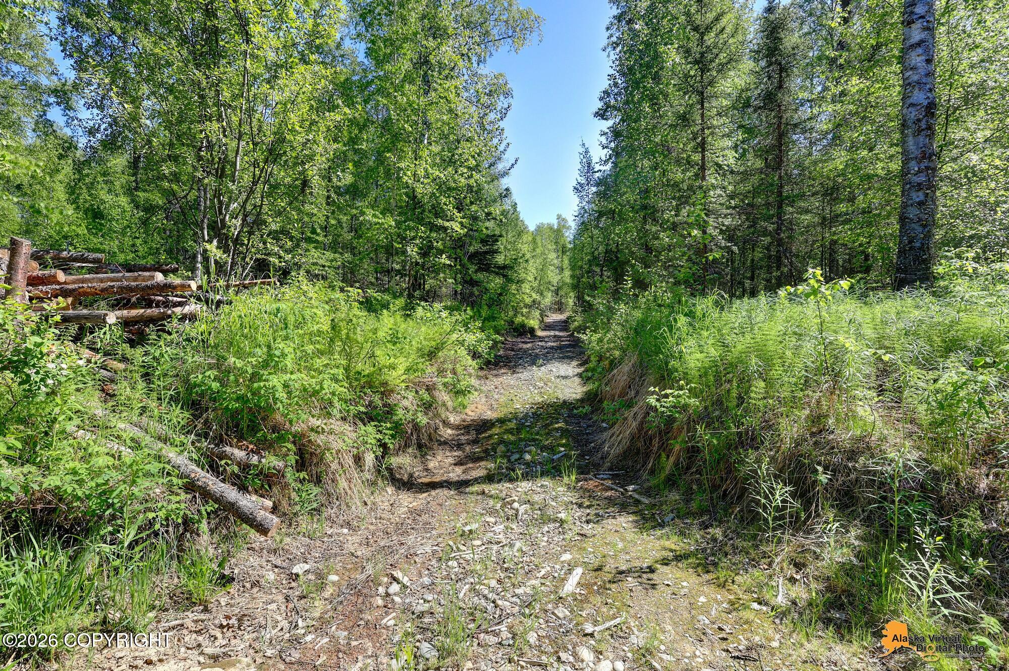 15528 E Birch Creek Boulevard Property Photo 100
