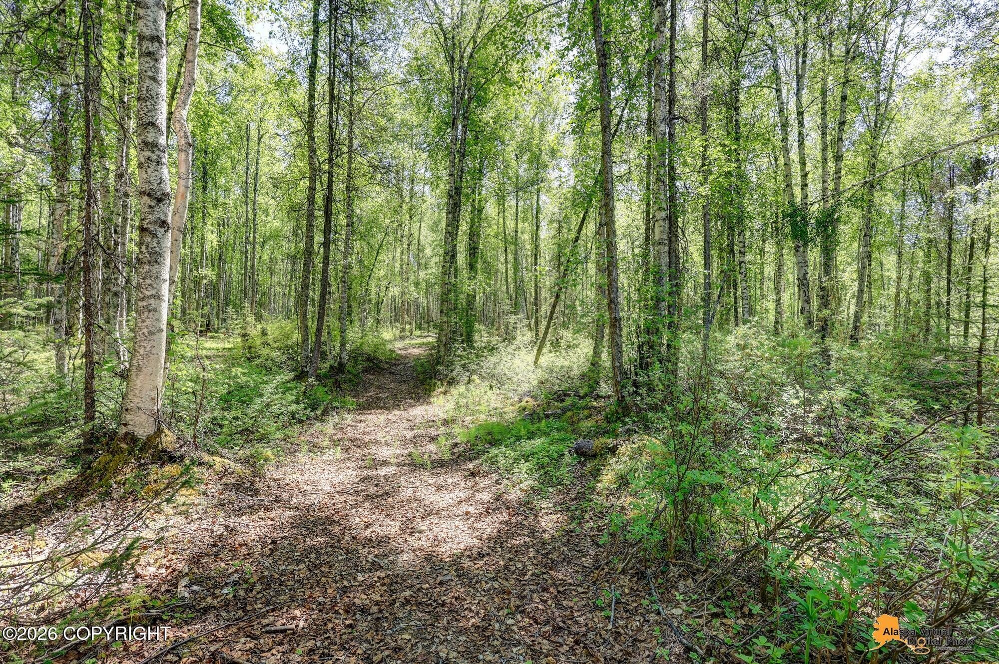 15528 E Birch Creek Boulevard Property Photo 102