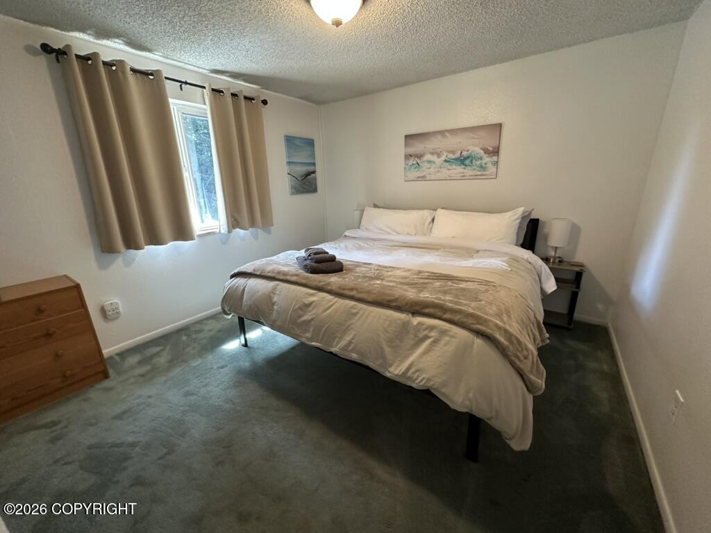 3072 Woody Way Loop Property Photo 17