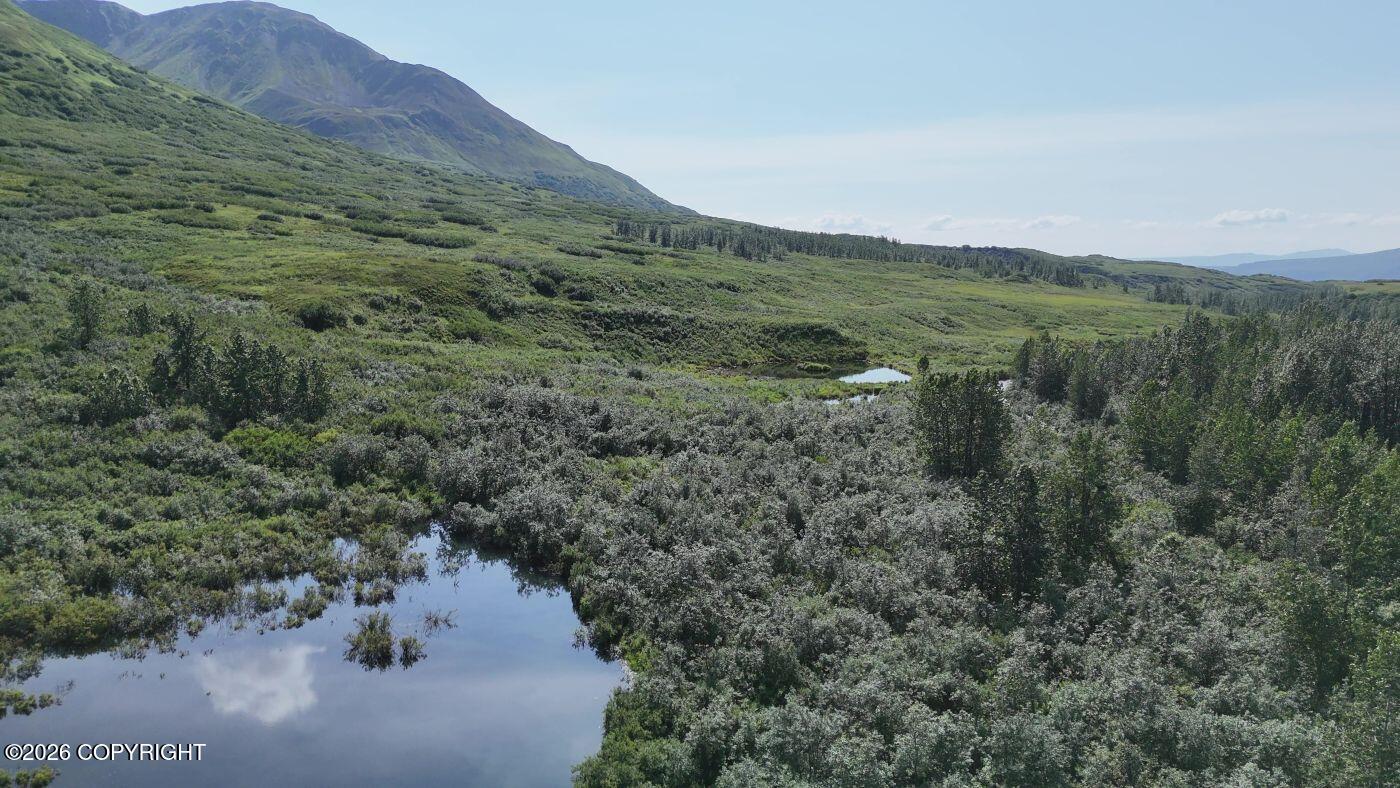 000 Dutch Creek Gold Mine Property Photo 11