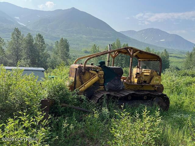 000 Dutch Creek Gold Mine Property Photo 22