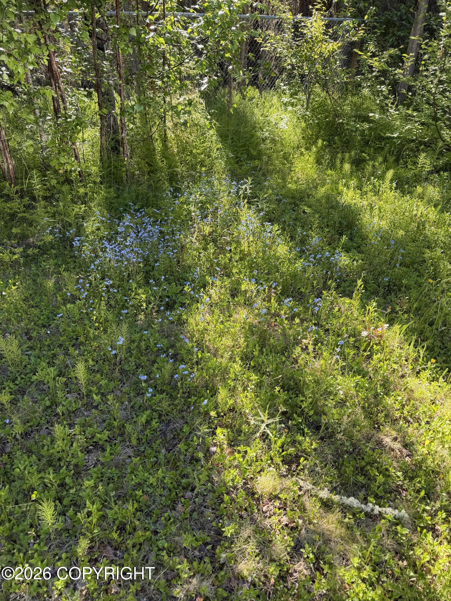 516 Ash Avenue Property Photo 28