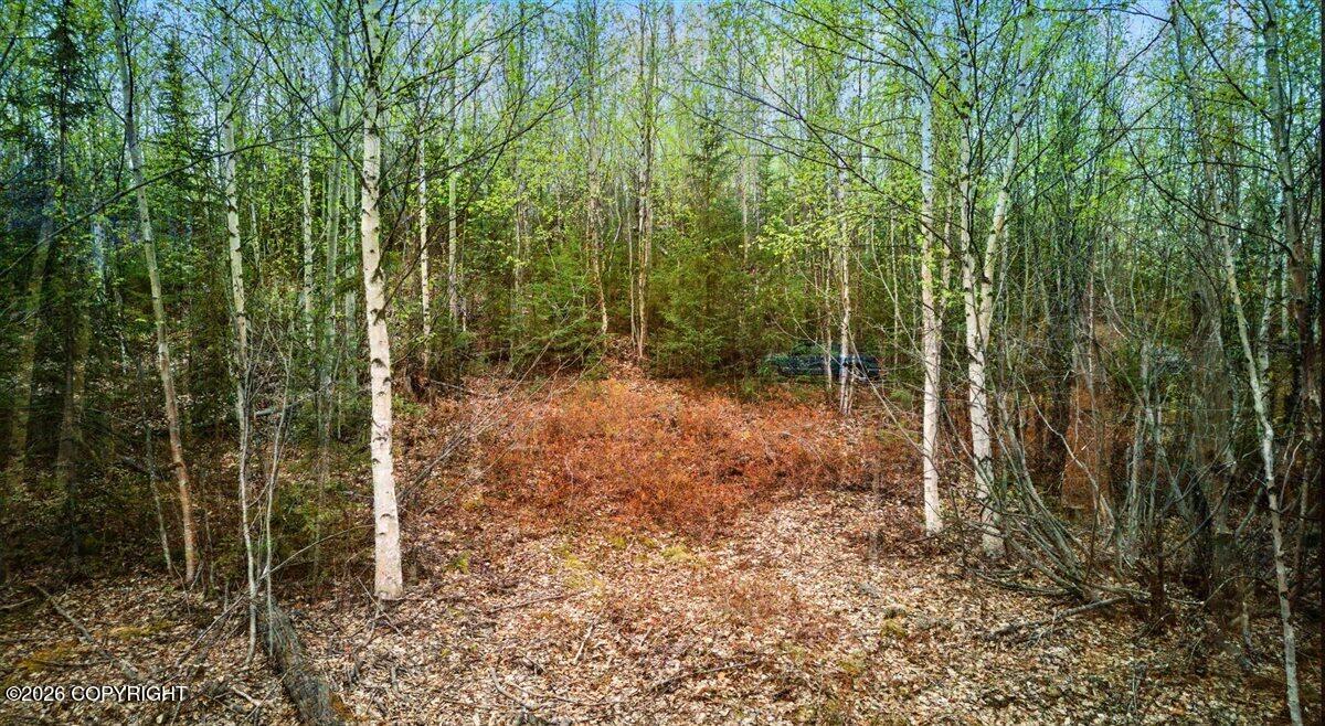 638 S Harlindon Dale Circle Property Photo 34