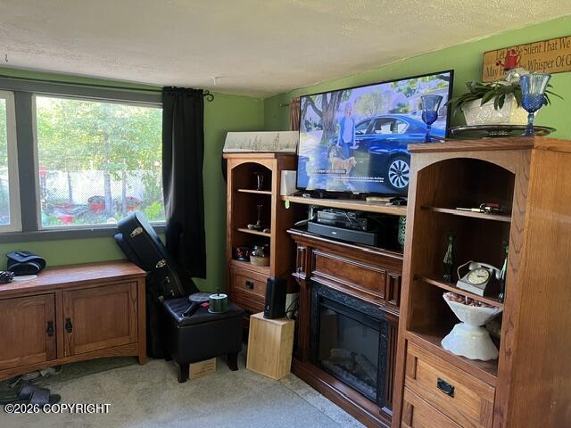 53900 Inlet Drive Property Photo 10