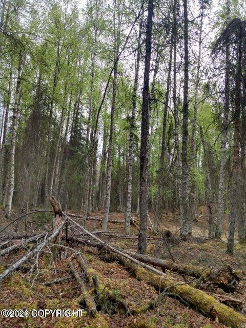 Tr E No Road Property Photo 2