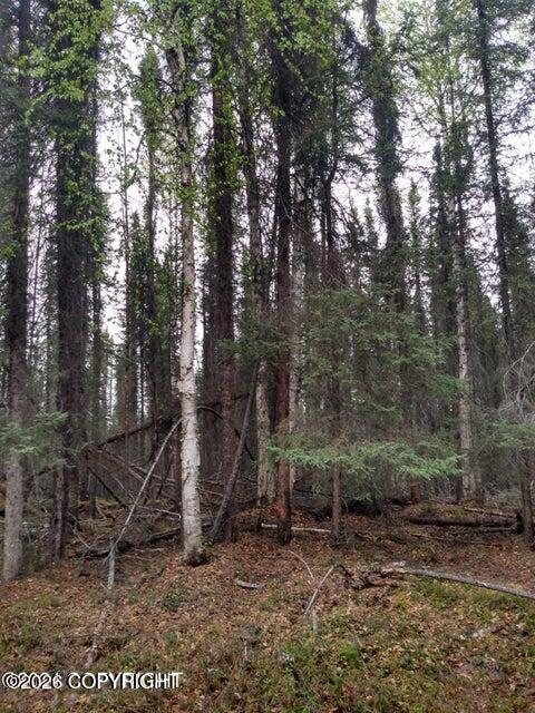 Tr E No Road Property Photo 3