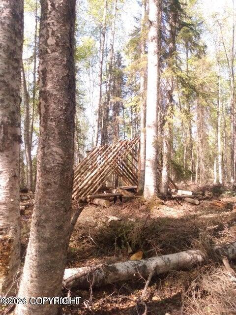 Tr E No Road Property Photo 5