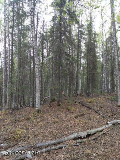 Tr E No Road Property Photo 6