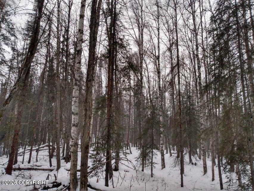 Tr E No Road Property Photo 7
