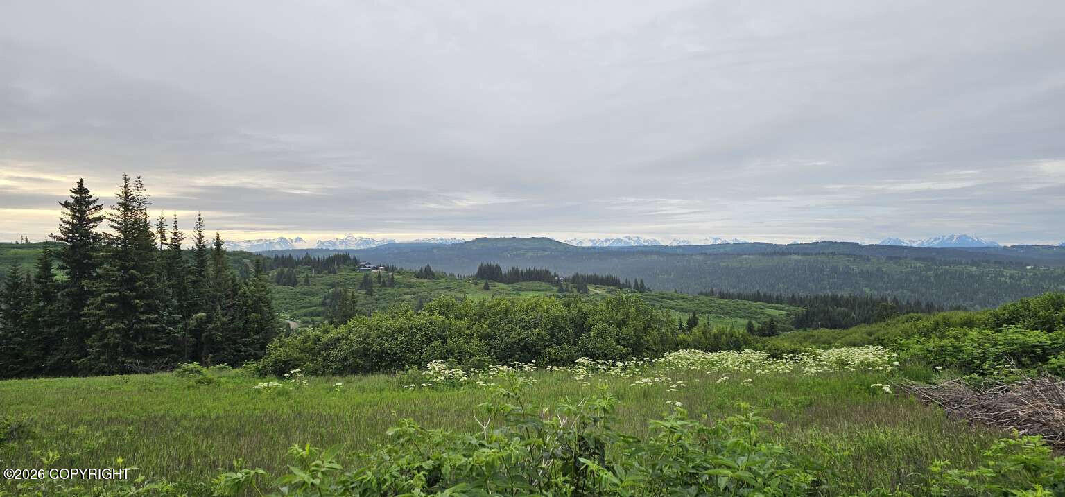 35925 N Fork Road Property Photo 2