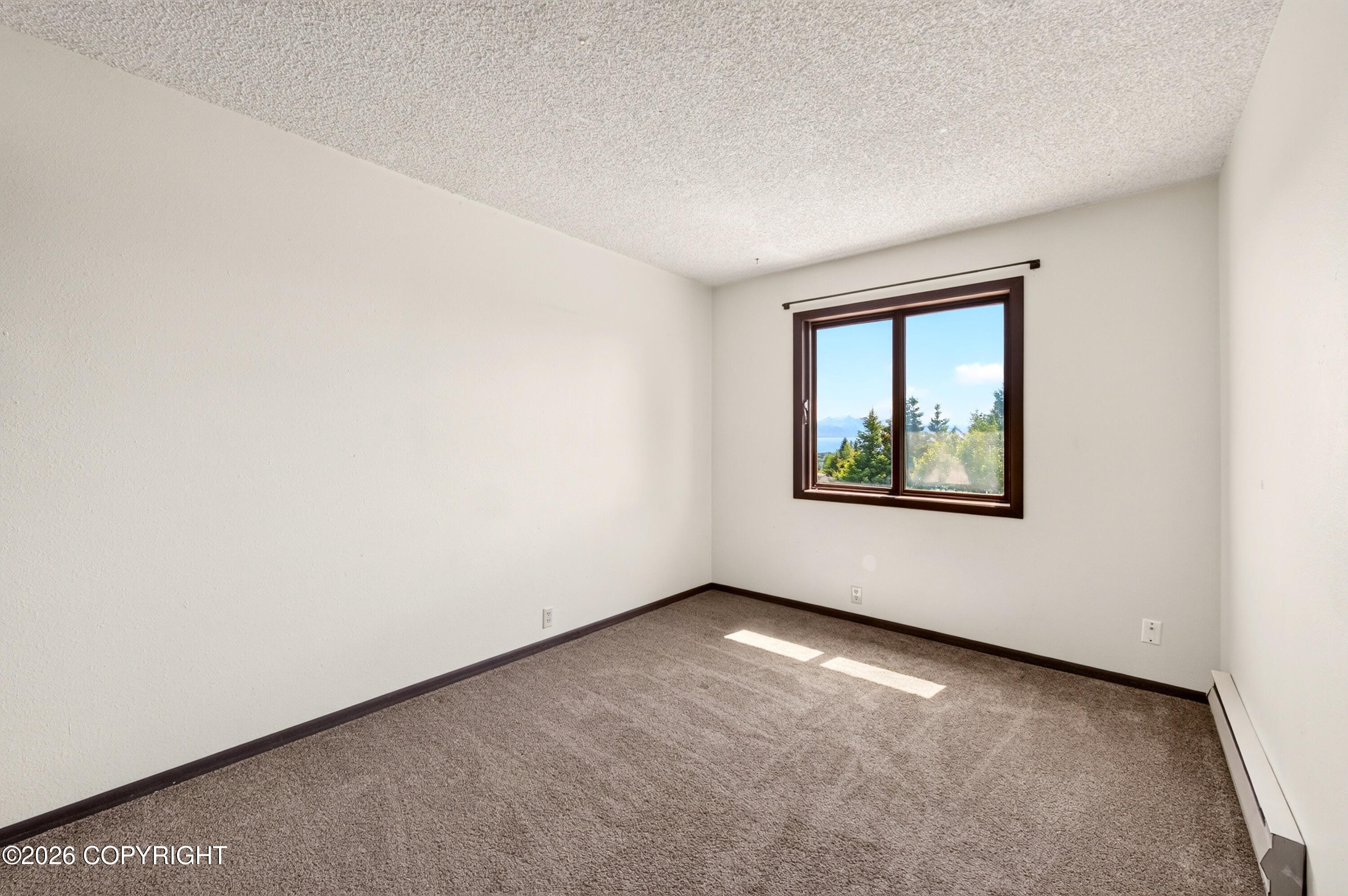 398 Mountain View Drive Property Photo 29