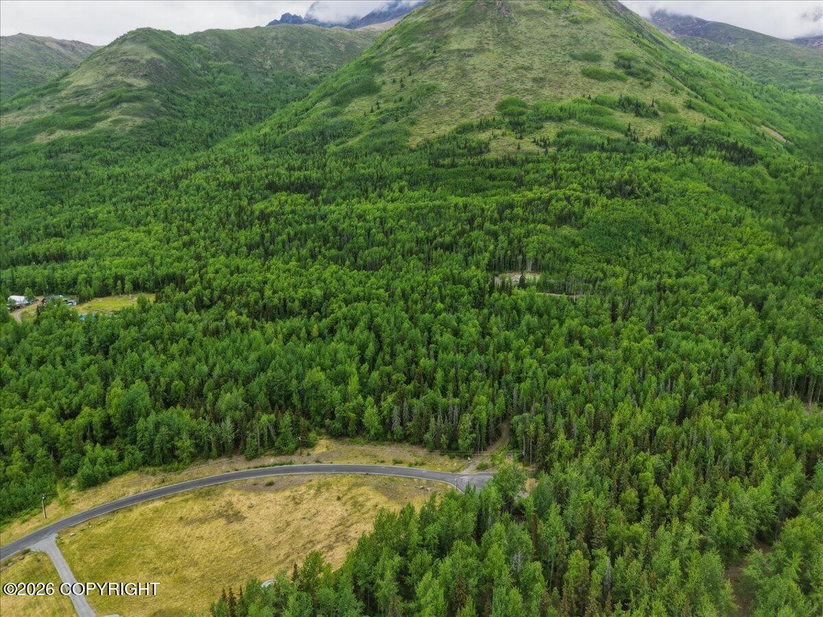 L2 Twin Peaks Drive Property Photo 6