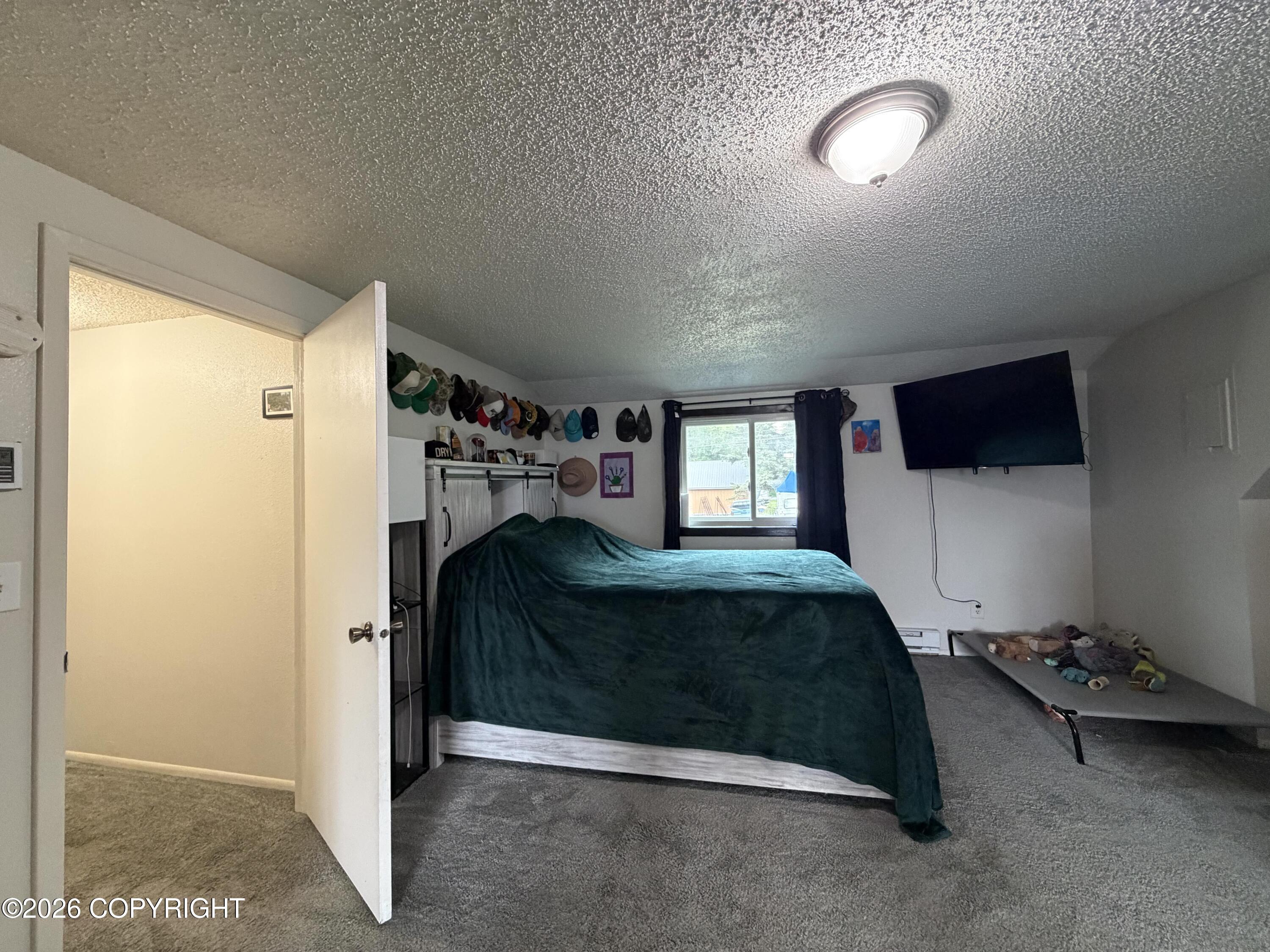 1703 Iron Drive Property Photo 11