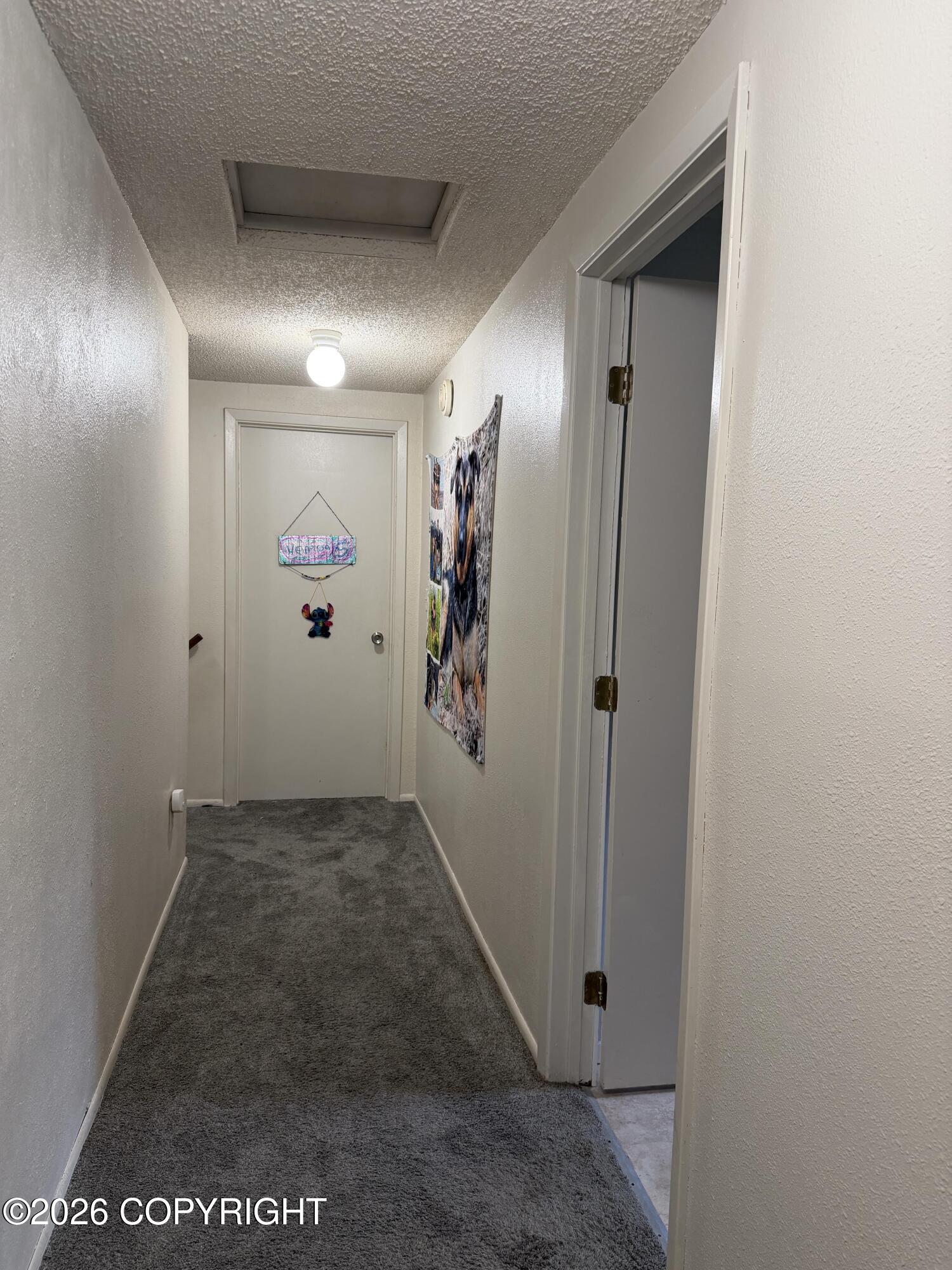 1703 Iron Drive Property Photo 13