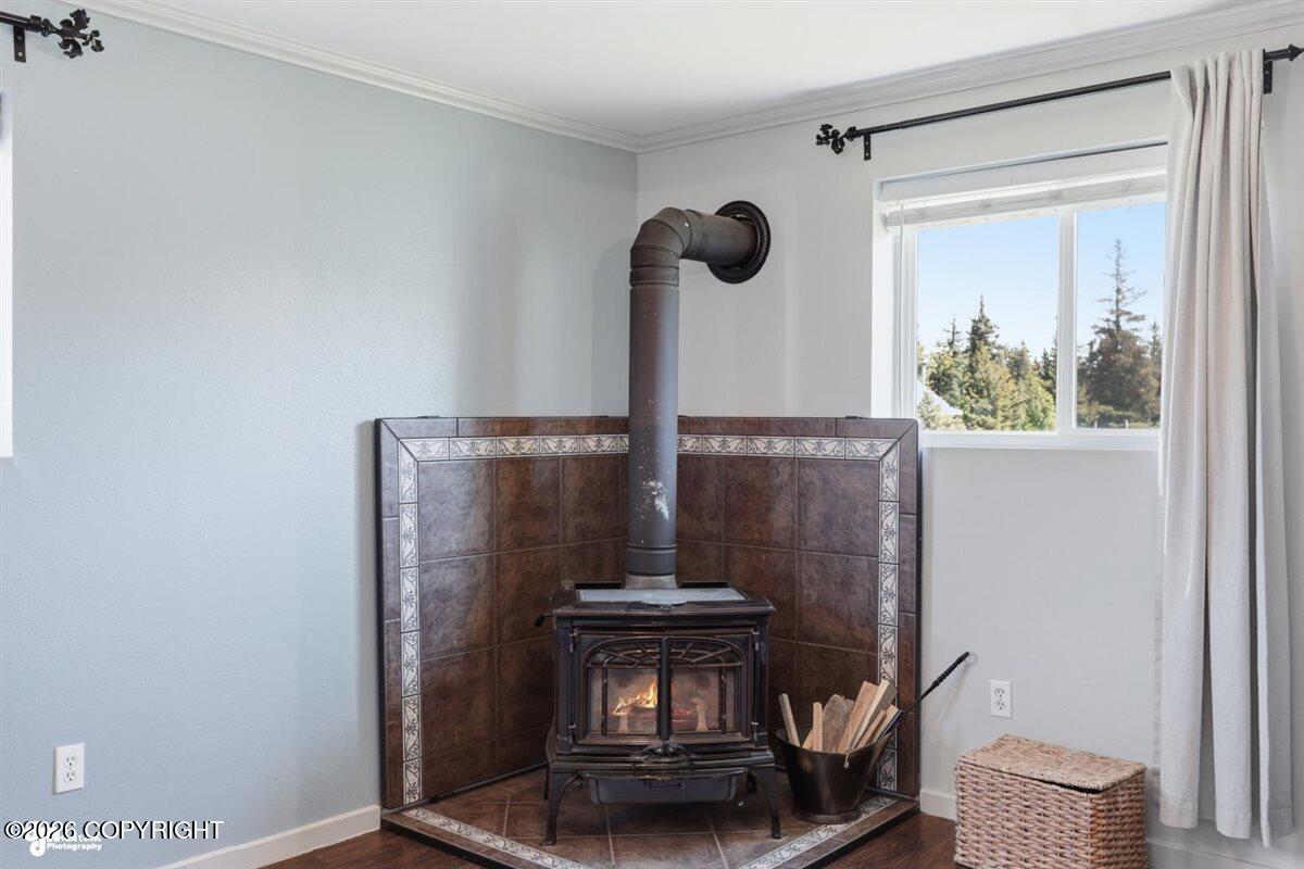 31082 Sterling Highway Property Photo 31