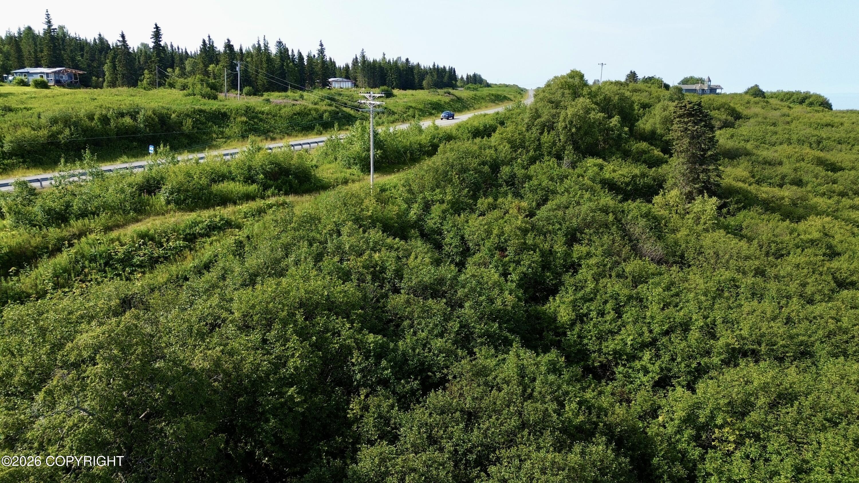 73910 Sterling Highway Property Photo 8