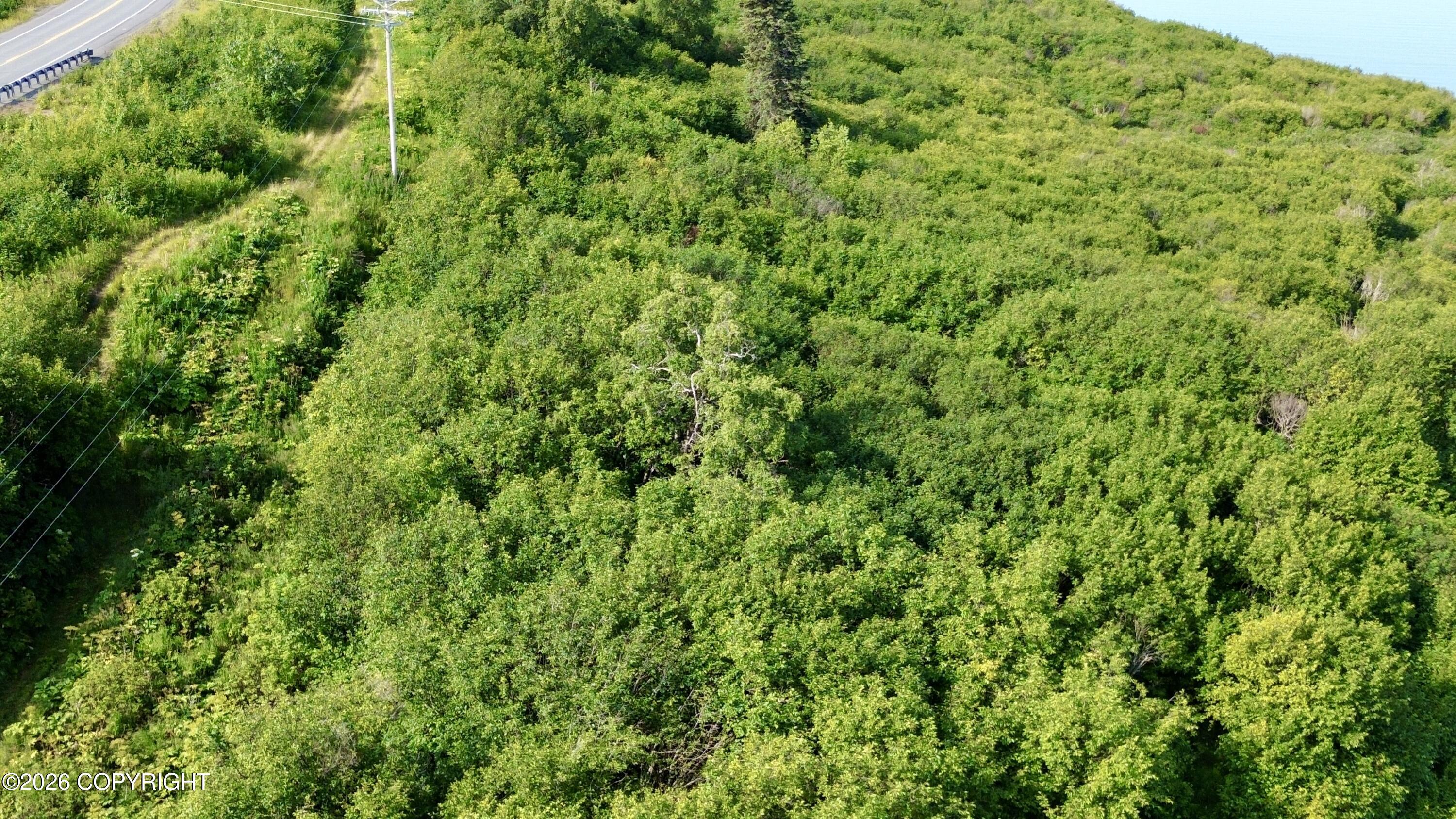 73910 Sterling Highway Property Photo 12